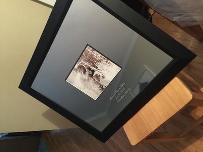 Autograph Frame in Studio Autograph Frames - Item #215230