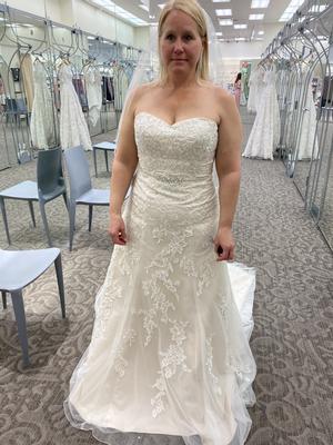 david's bridal v3587