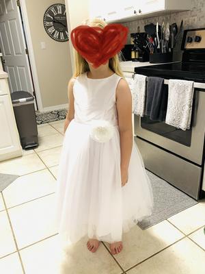 David's bridal flower girl dress 2024 with tulle and ribbon waist