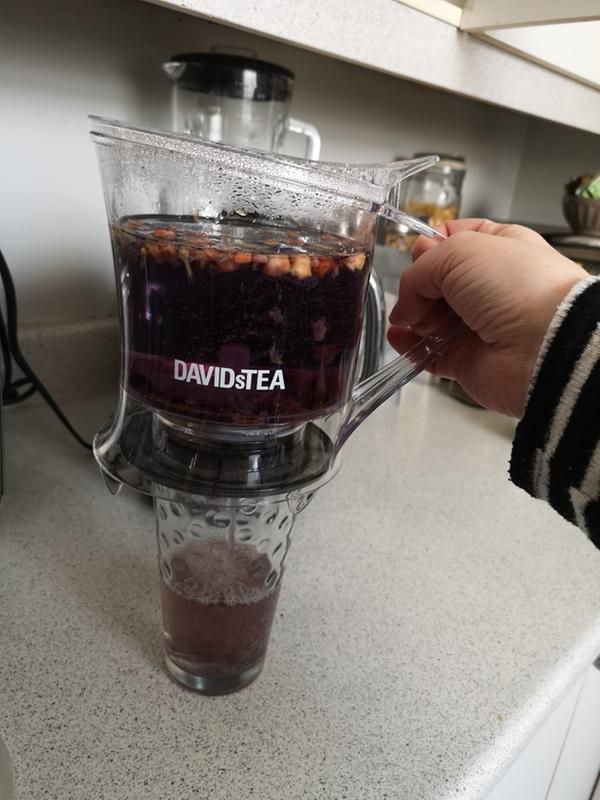 DAVIDsTEA Tea Steeper Tea Maker Tea Infuser for Loose Tea with  Lid and Coaster, BPA-Free, No Drips, (32oz / 946mL): Teapots