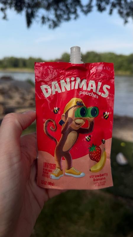 Danimals Pouches Strawberry Banana Squeezable Low Fat Yogurt