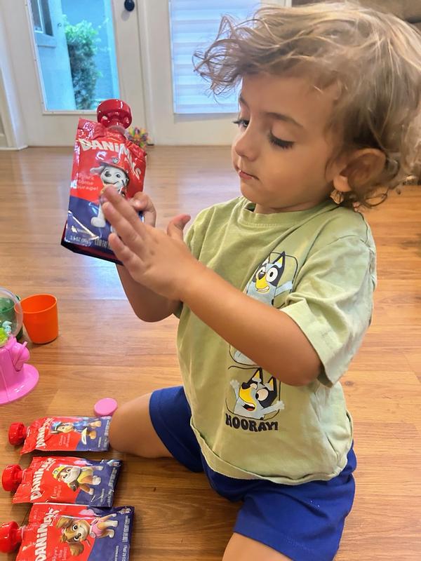 Danimals Cotton Candy Kids Low Fat Yogurt Pouches