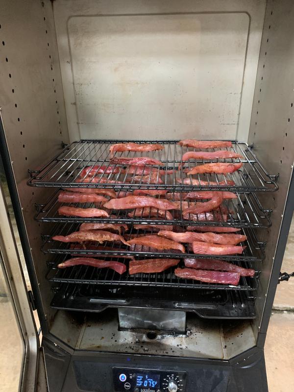 louisiana grills 7 series vertical smoker