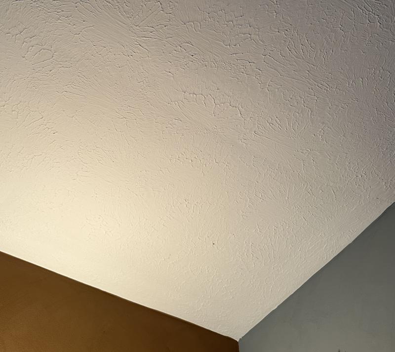 DAP 2in1 25-fl oz White Knockdown Water-based Wall and Ceiling Texture ...