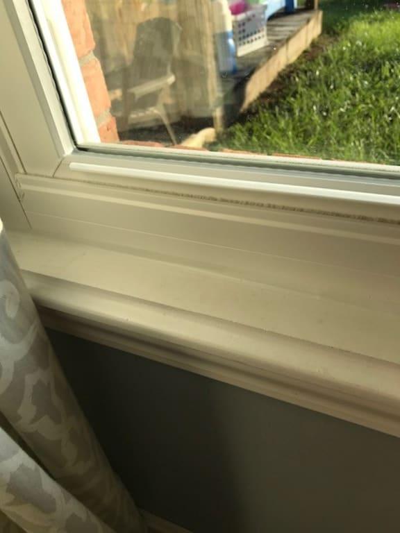 Photo - commentaire 7.