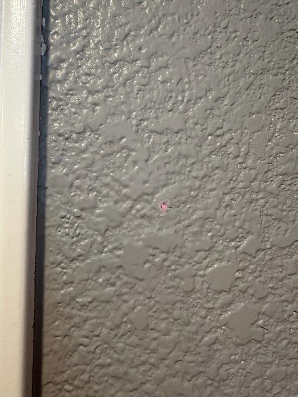 Review photo 4.