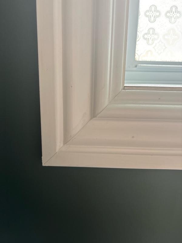 Photo - commentaire 1.