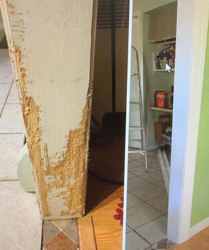 Photo - commentaire 1.