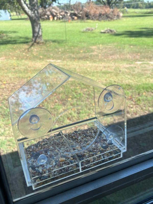 Backyard Expressions Clear Acrylic Window-mount (suction Cup) Window Bird  Feeder- 1-lb Capacity