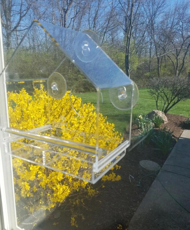 Window Bird Feeder, House Shaped – Backyard Expressions