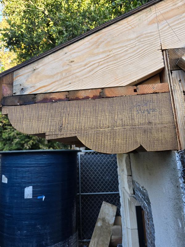 Photo - commentaire 7.