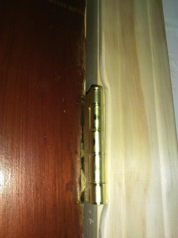 Custom Cut to fit a door hing back in, cut and smoothed with the 3-speed multitool kit.