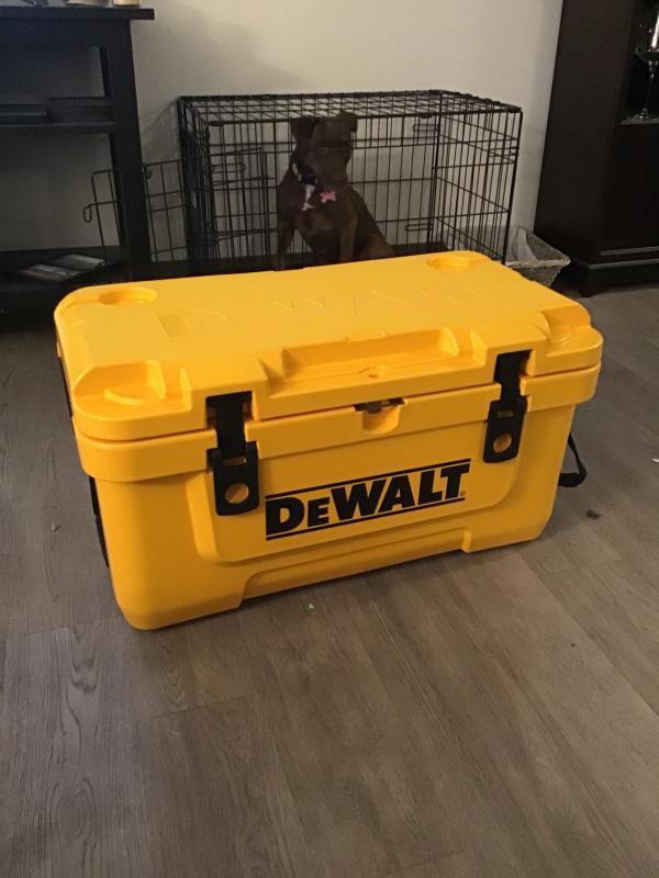 Dewalt 45 deals quart cooler