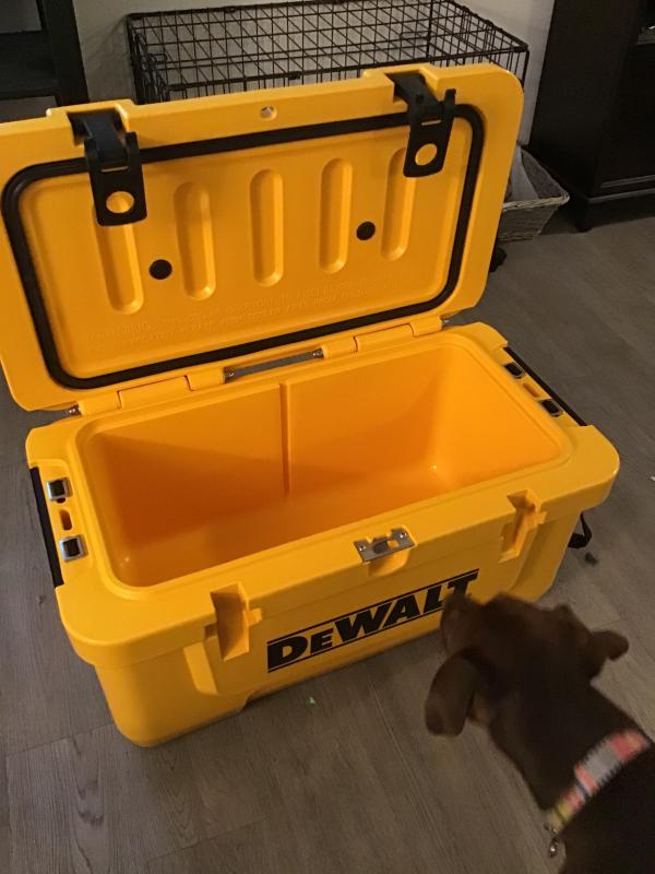 Dewalt 45 2024 quart cooler