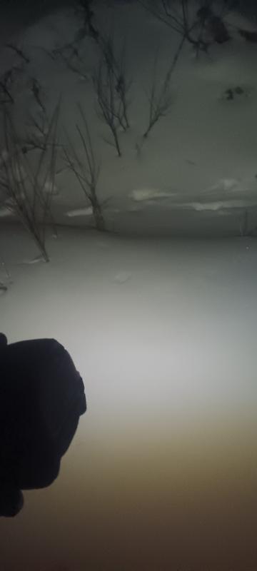 This pic was at night no moon and no flash just the light from the tape