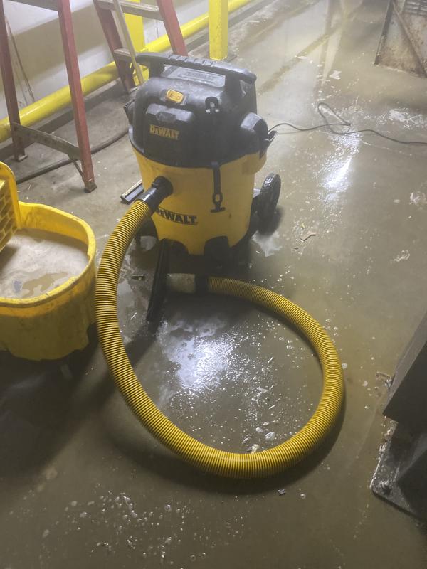 す*や様 DEWALT 有ウェット ドライ掃除機 DXV16S 16ガロン DeWalt 16-Gal 6.5 HP Black Stainless Steel Wet and Dry