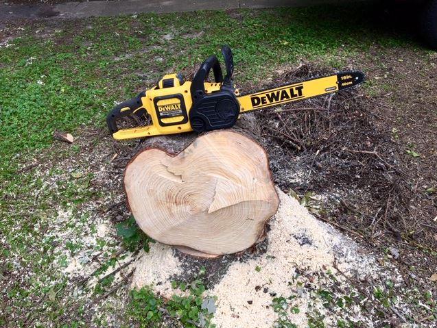 Dewalt flexvolt 60v max deals brushless chainsaw