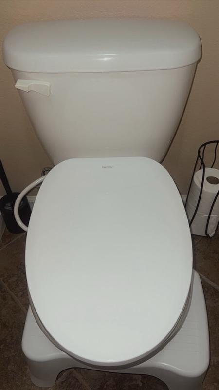 DeerValley Elongated Manual Bidet Toilet Seat With Self Cleaning Dual Nozzles Rear Feminine Cleaning Non Electric Bidets Existing Toilets White No Wiring