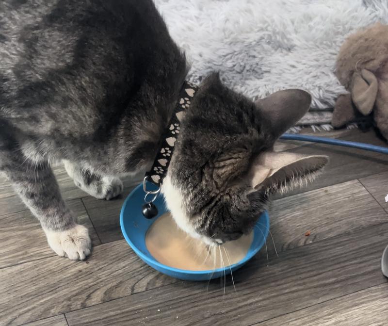 Loving his new treats!