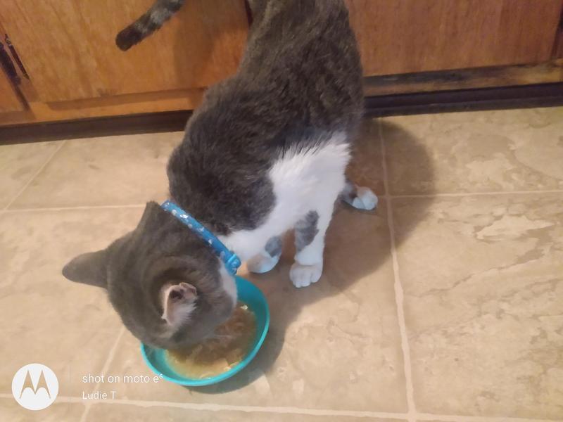 Yummy in his tummy
