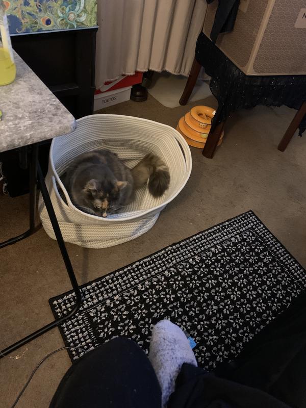 There is Miss Supermodel