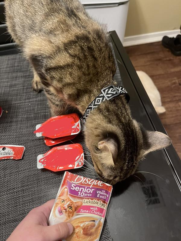 Photo - commentaire 6.