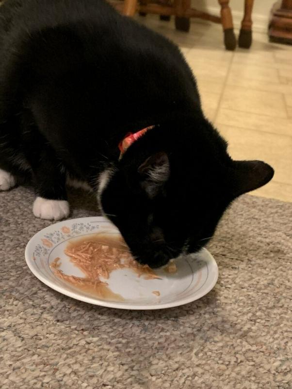 Alien and her stew