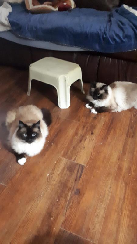my babys