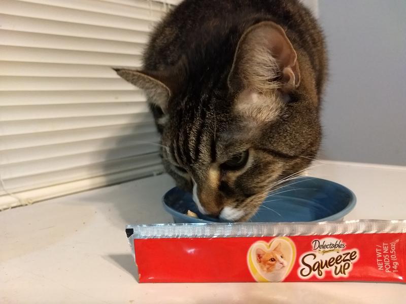 Clyde enjoying the squeeze up treats