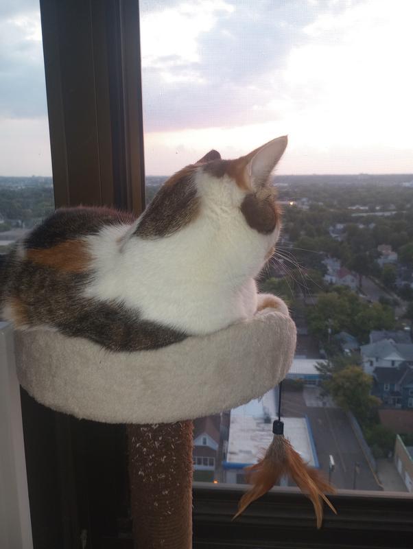 Queen of my World ❤️