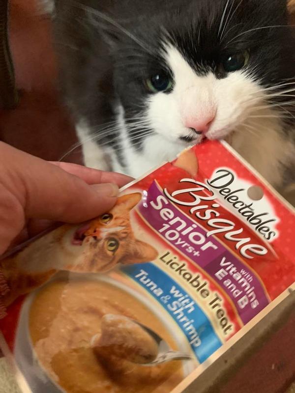 my cat trying to rip open his Delectable Lickable Treat