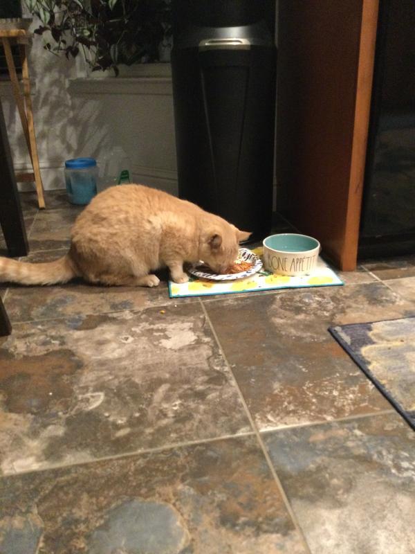 He loves it!