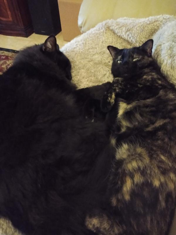 Full Tummies!!!