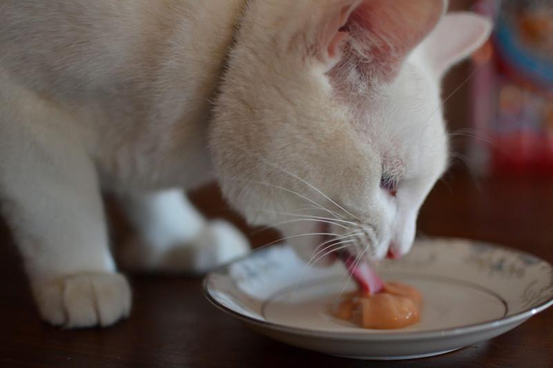 Tasty!