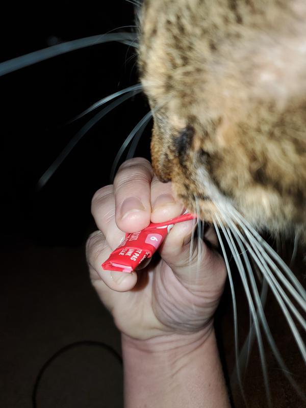 Willow enjoying his snack.