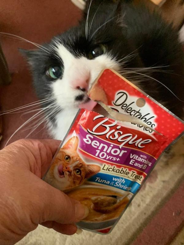 Sylvest could not wait for me to serve him his treat.