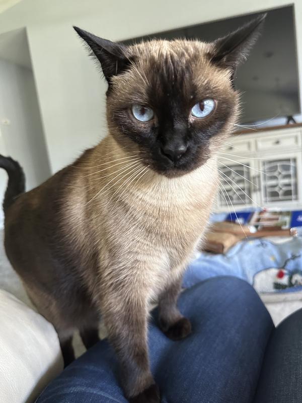 I want my treat! 🤣