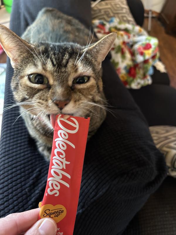 Enjoying the beat cat treat