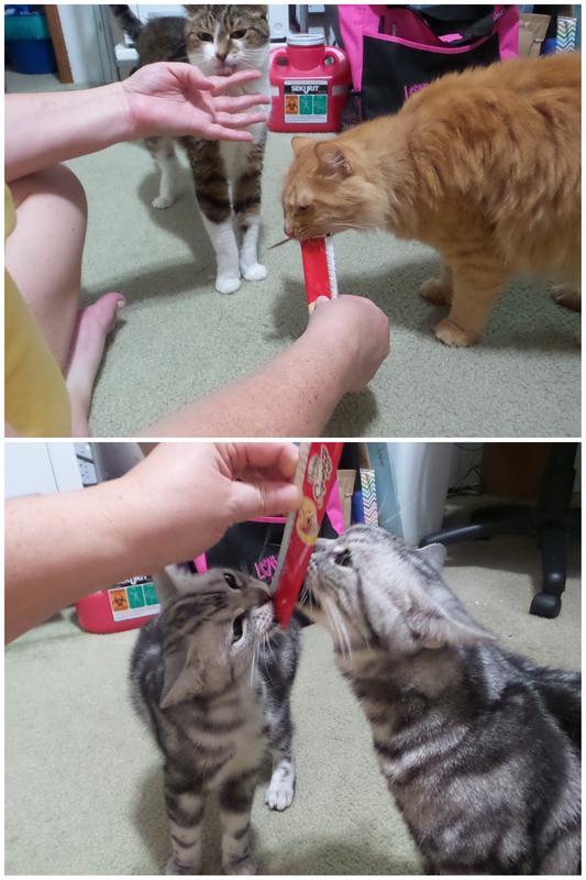 My fur kids are just crazy about the Squeeze Up Cat Treats!