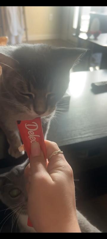 Cats favorite treat