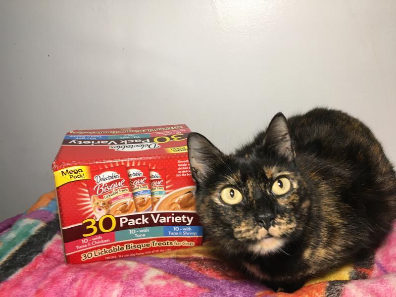 My cat right beside her treats!
