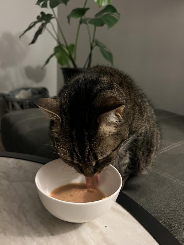 Enjoying her treat!