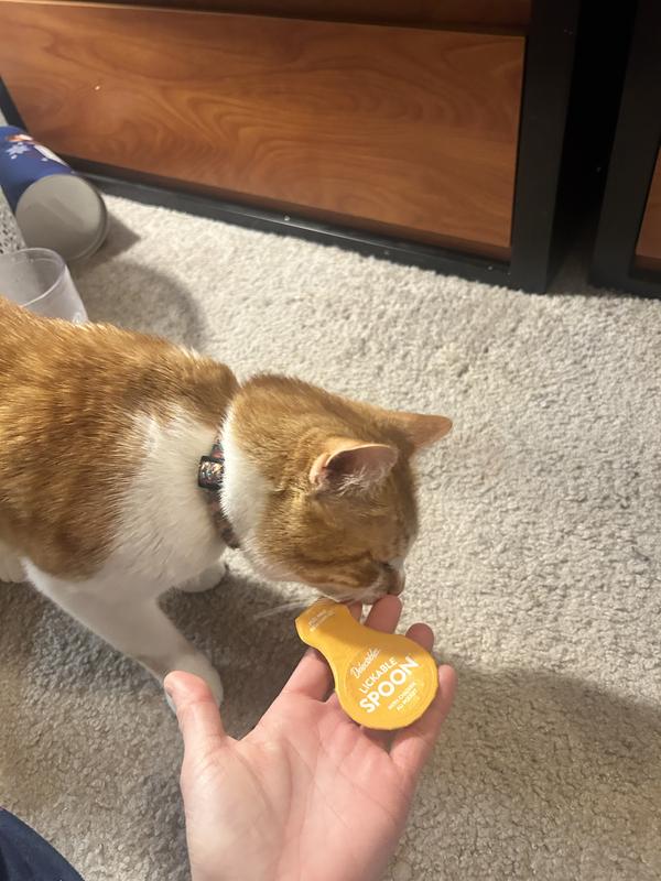 Mess-Free and OBSESSED!