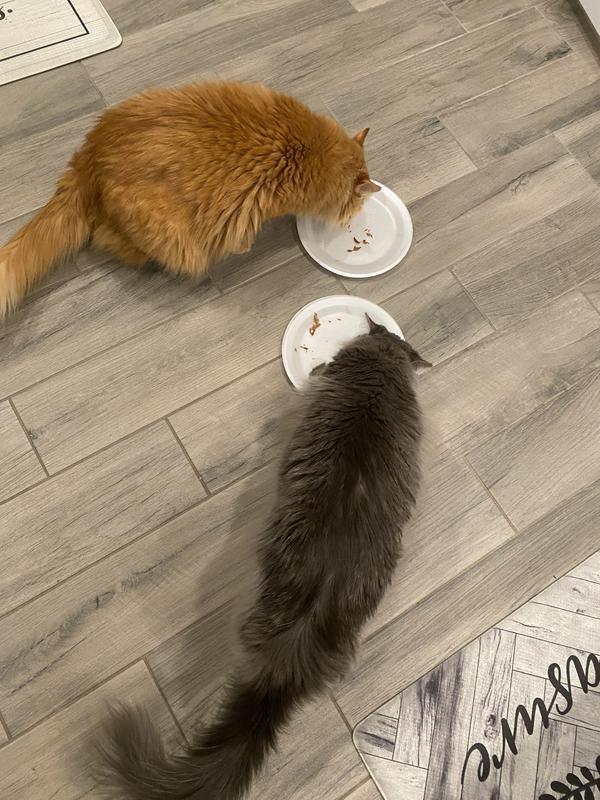 No spot left behind!