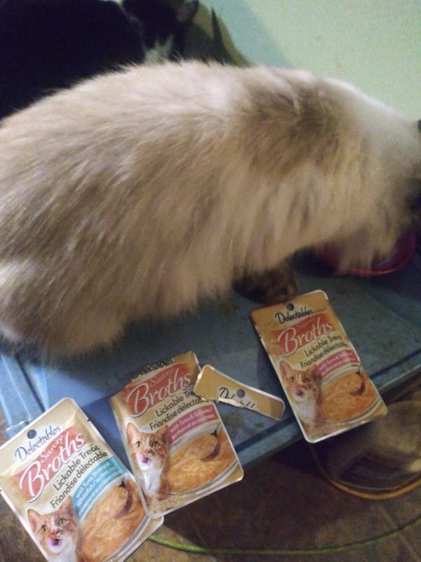 My kitty Tips chowing down on the delectables broths, tuna and salmon flavor