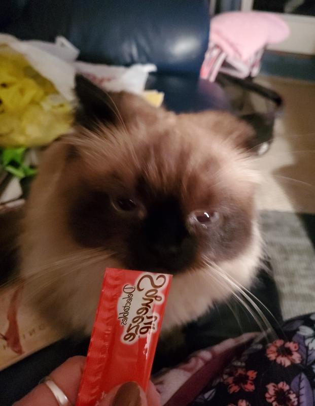 "My best treat"
