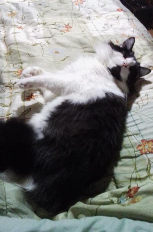 Full off of Delectables squeeze up