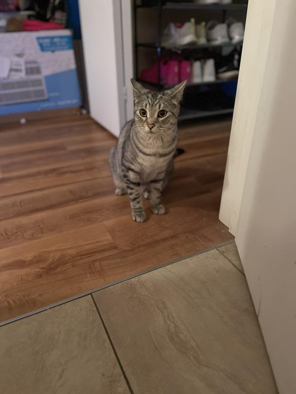 Sushi waiting