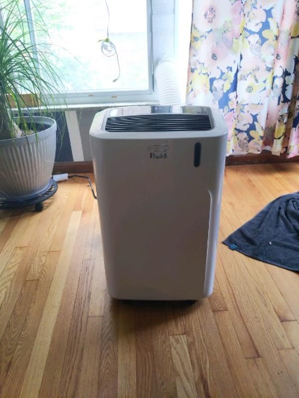 Pinguino Compact Special Edition Portable Air Conditioner,, 57 OFF