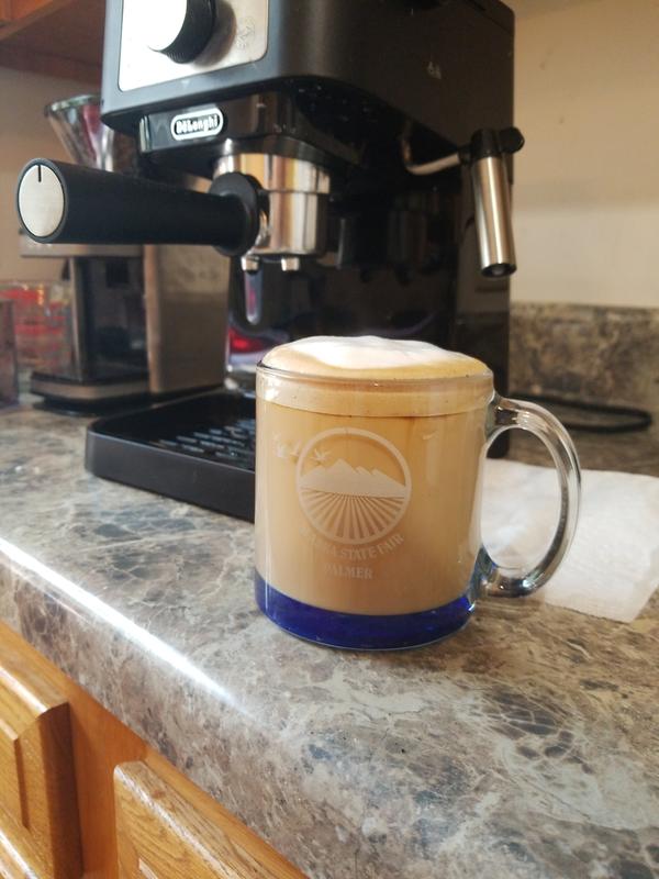 De'Longhi Stilosa Manual Espresso Machine, Latte & Cappuccino Maker, 15 Bar  Pump Pressure + Manual Milk Frother Steam Wand, Black / Stainless, EC260BK  : : Home